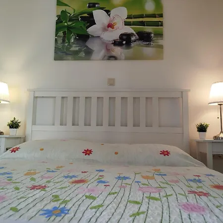 Apartament Cute Arba *